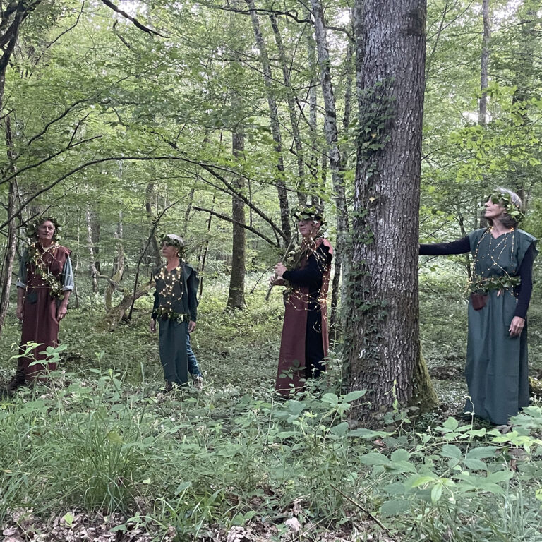 Nuit des forêts