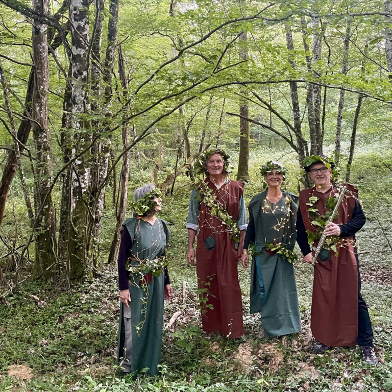 Nuit des forêts