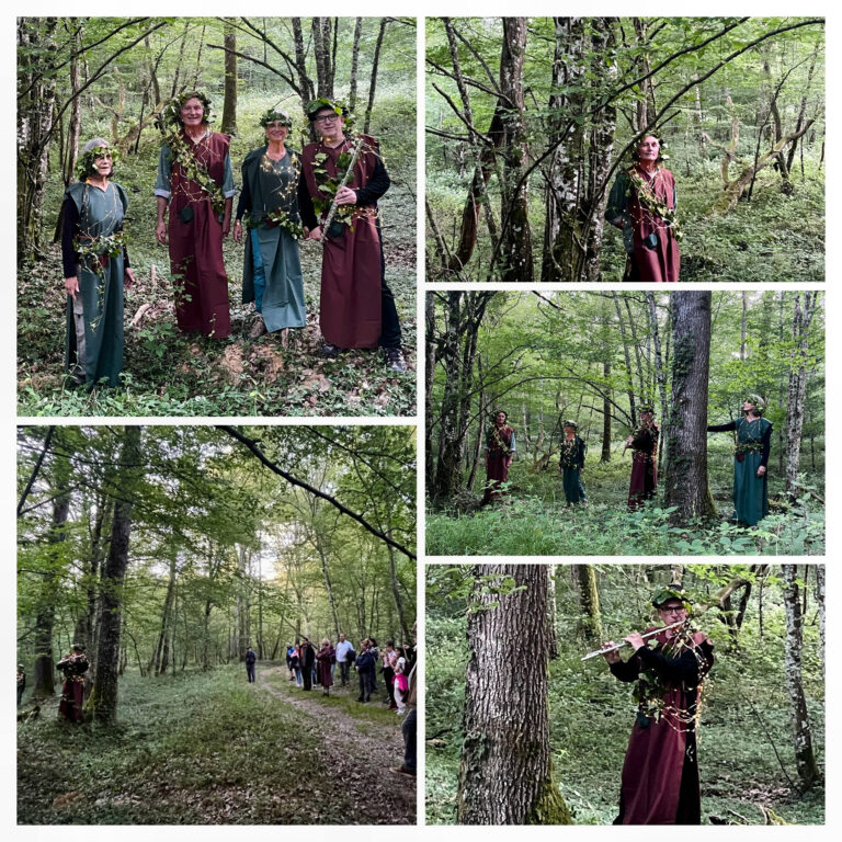 Nuit des forêts